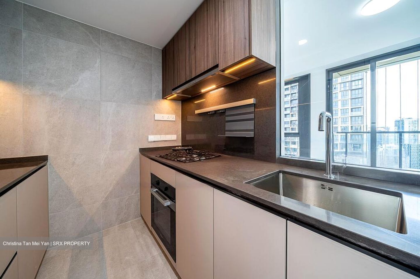 Irwell Hill Residences (D9), Apartment #451600791